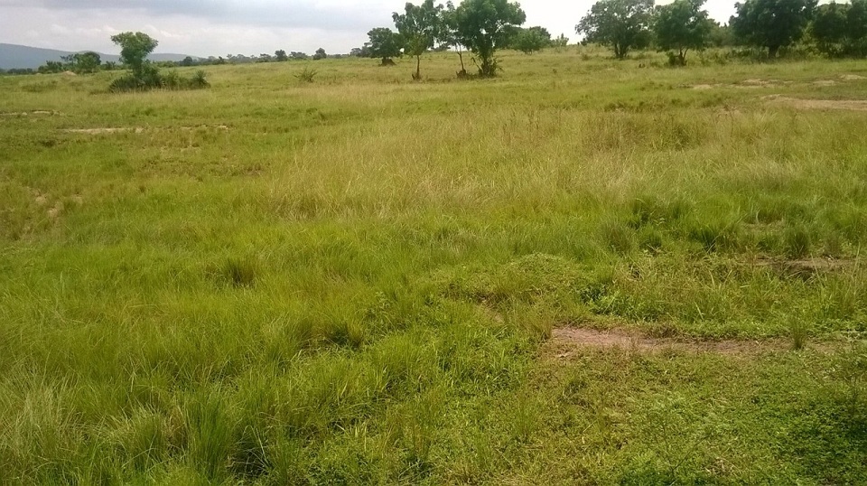 Estate Lands Gbagada